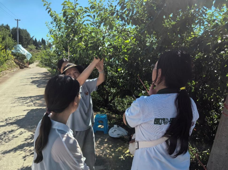 文件名称:园艺.png原图大小:1.04MB