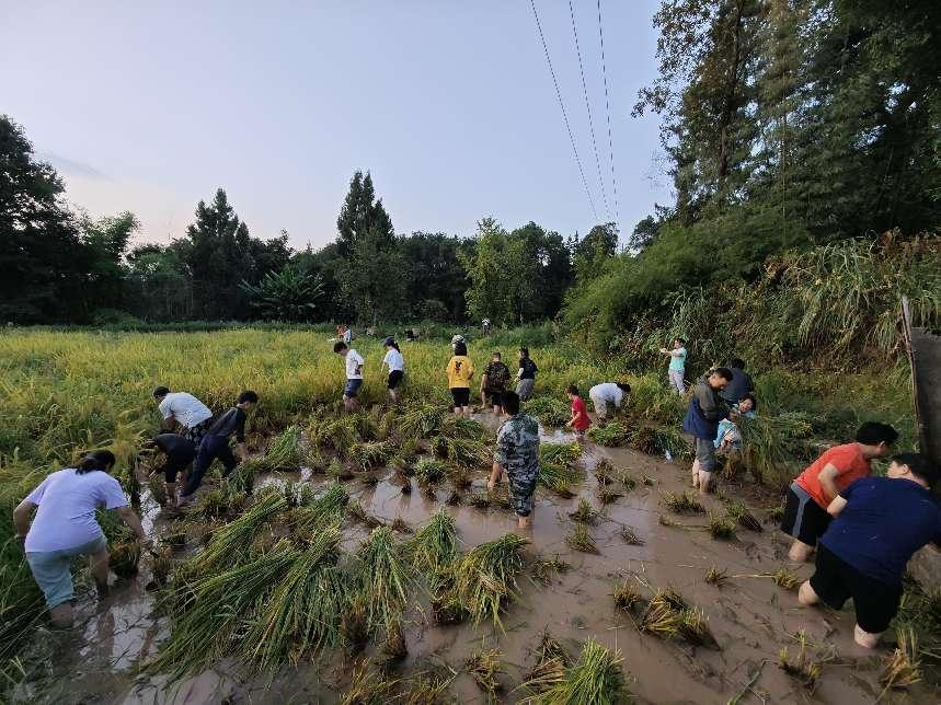 文件名称:图片1.png原图大小:0.97MB