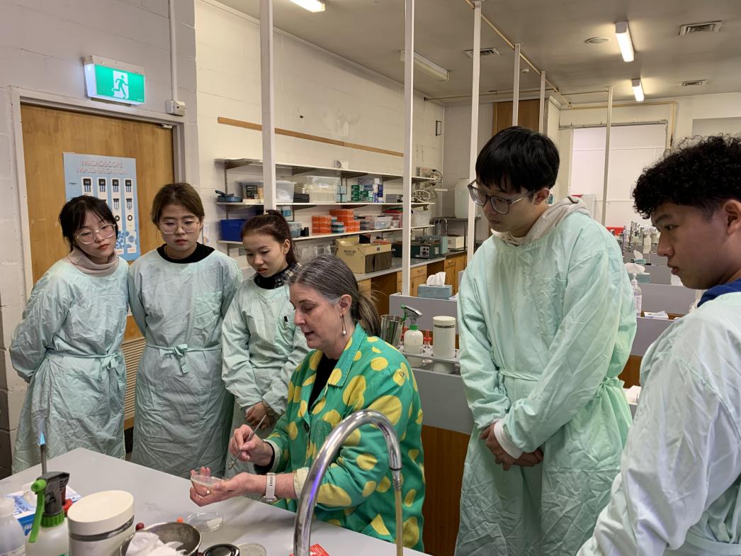 文件名称:image6.jpeg原图大小:NaNGB