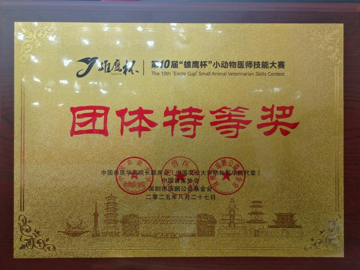 文件名称:image5.jpeg原图大小:NaNGB