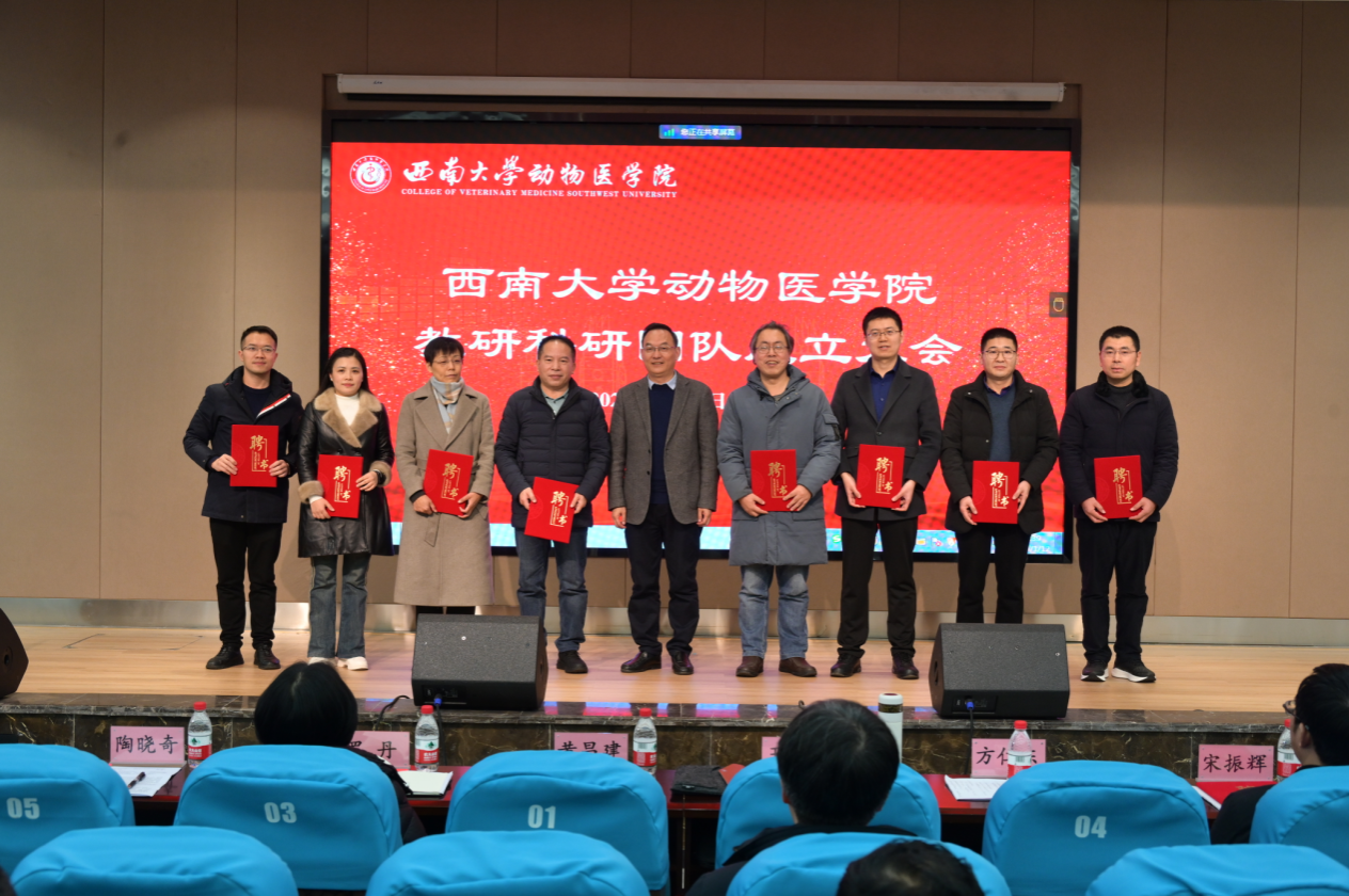 文件名称:image7.png原图大小:NaNGB