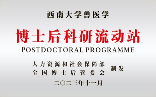 文件名称:image8.png原图大小:NaNGB