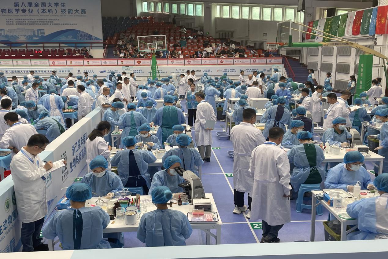 文件名称:image2.jpeg原图大小:NaNGB