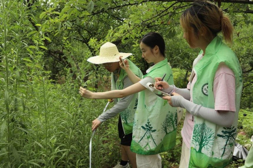 文件名称:生科.png原图大小:0.87MB