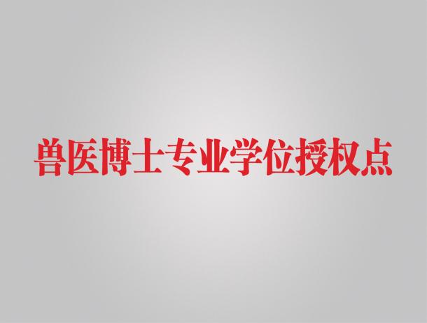 文件名称:image9.jpeg原图大小:NaNGB