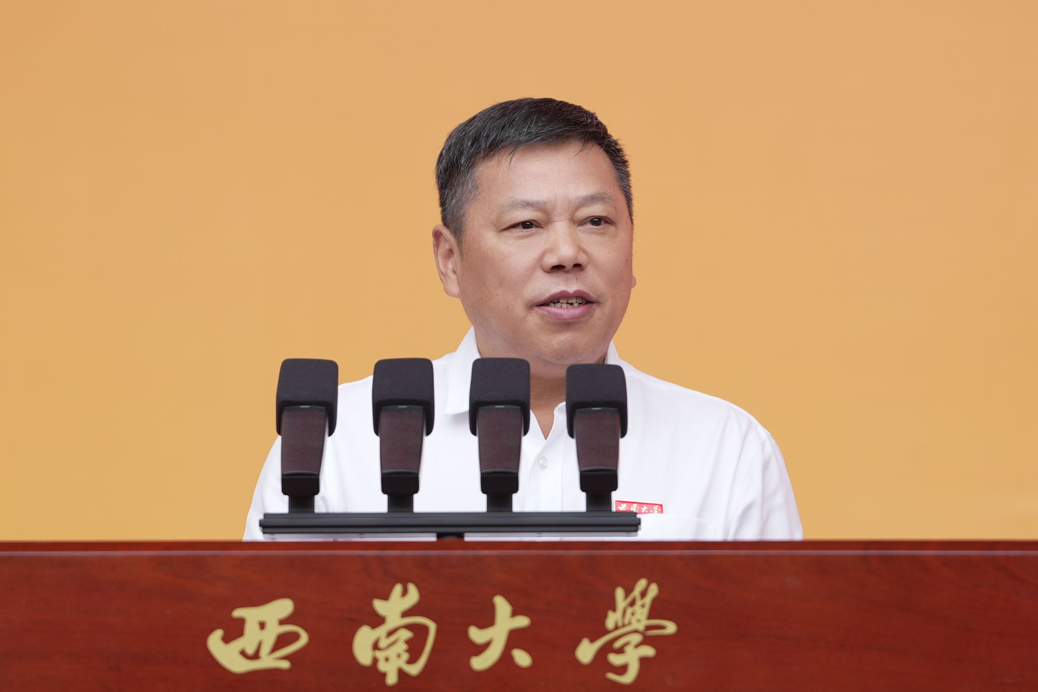 文件名称:DSC02608.jpg原图大小:2.11MB